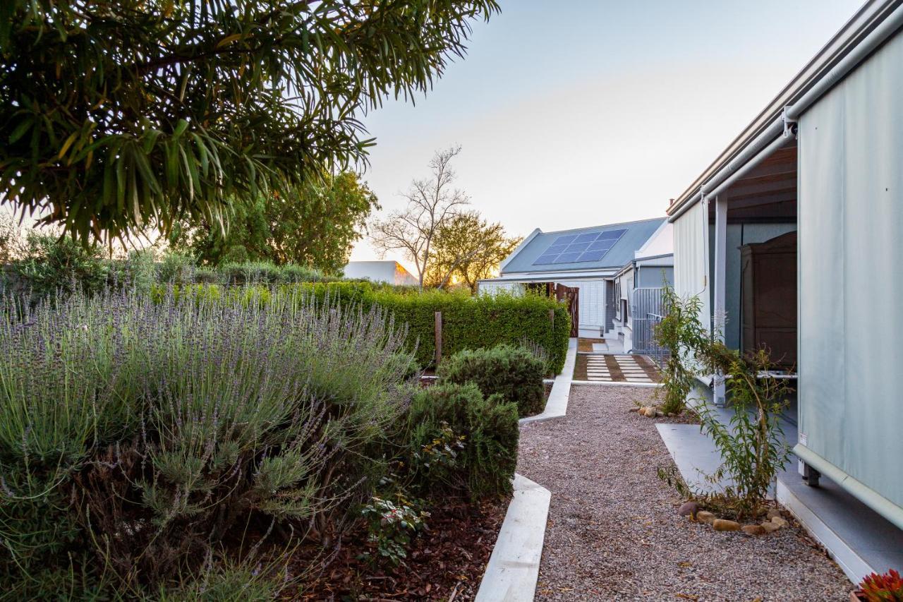Karoo Masterclass - Accommodation Prince Albert Ngoại thất bức ảnh